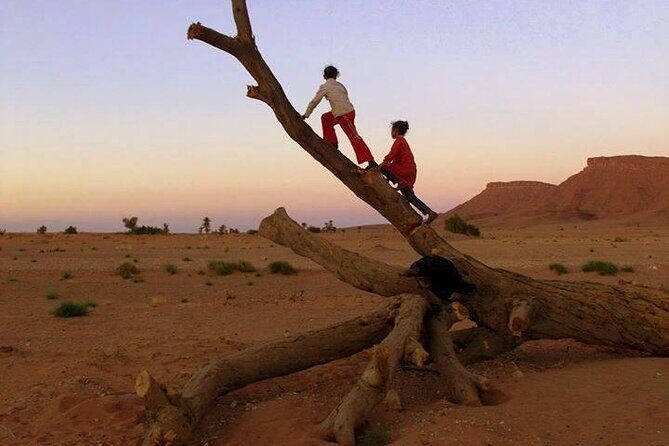 Marrakech to Merzouga 3 Day Desert Safari - What’s Included and What to Expect