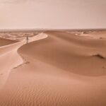 Marrakech to Merzouga 3 days Desert Tour - What the Reviews Reveal