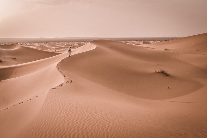 Marrakech to Merzouga 3 days Desert Tour - What the Reviews Reveal