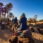 Marrakech to Merzouga 3-Days Group Desert Tour - Day 2: From Dades Gorges to the Desert Dunes