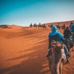 Marrakech To Merzouga Sahara Desert Tour-3 Days 2 nights Adventur - Why This Tour Offers Great Value