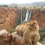 Marrakech To Waterfalls Ouzoud Day trip - The Highlights of the Ouzoud Waterfalls Trip