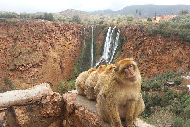 Marrakech To Waterfalls Ouzoud Day trip - The Highlights of the Ouzoud Waterfalls Trip