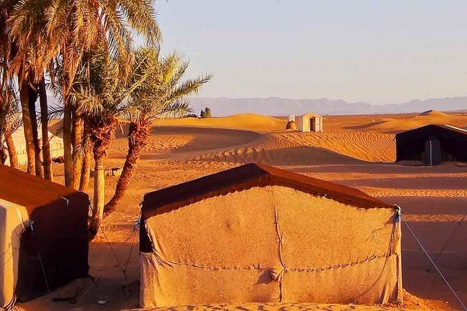 Marrakech to Zagora Tour- Marrakech Desert Tour 2 Days - The Itinerary in Detail
