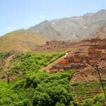 Marrakech:excursion valley de l'ourika, randonnée et déjeuner - Transportation and Logistics