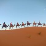 Marrakesh 3 Days Tour to Fez with Overnight Desert Camping - Detailed Breakdown of the 3-Day Marrakech to Fez Tour