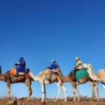 Marrakesh: Agafay Desert Tour with Lunch and Camel Ride - What Makes This Tour Stand Out?