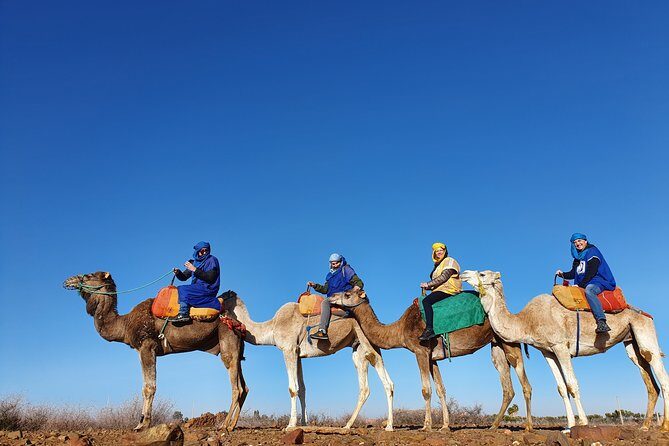 Marrakesh: Agafay Desert Tour with Lunch and Camel Ride - What Makes This Tour Stand Out?