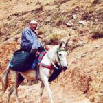 Marrakesh: Atlas Mountains Berber Villages & Waterfalls Tour - Authenticity and Practicalities