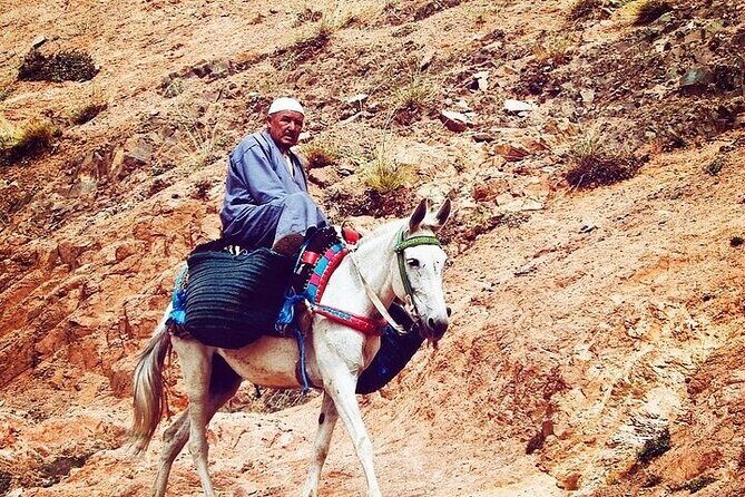 Marrakesh: Atlas Mountains Berber Villages & Waterfalls Tour - Authenticity and Practicalities