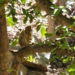 Marrakesh :Ourika Valley & Guided tour to Waterfalls - Authentic Experiences Based on Real Reviews