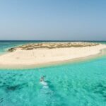 Marsa Alam: Snorkel with Sea Cows and Turtles at Marsa Mubarak - Marine Life & Unique Encounters