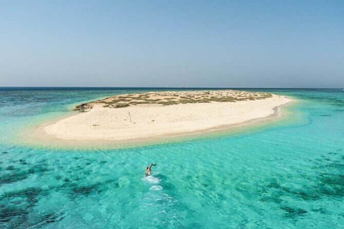 Marsa Alam: Snorkel with Sea Cows and Turtles at Marsa Mubarak - Marine Life & Unique Encounters