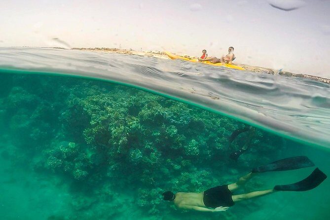 Marsa Mubarak Full Day and one intro Diving With Lunch, Transfer - Marsa Alam - What’s Included and What’s Not
