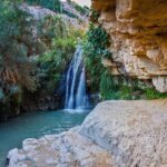 Masada, Ein Gedi, and The Dead Sea from Tel Aviv - Ein Gedi: A Desert Oasis with Natural Charm