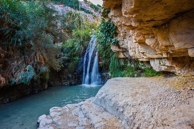 Masada, Ein Gedi, and The Dead Sea from Tel Aviv - Ein Gedi: A Desert Oasis with Natural Charm