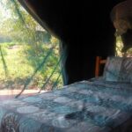 Masai Mara Budget 2 nights tented camp road Safari - Overview of the Experience