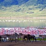 Masai Mara Game Reserve Safari Tour, 4 Days 3 Nights - Transportation and Accommodations