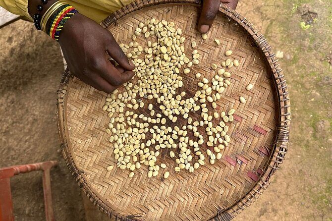Materuni Waterfall and Coffee Plantation Half Day Tour - Starting in Moshi and Traveling to Materuni Village