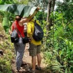 Materuni Waterfall and Kikuletwa Hot Spring Tour - The Sum Up