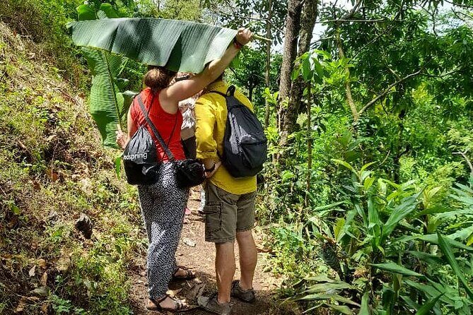 Materuni Waterfall and Kikuletwa Hot Spring Tour - The Sum Up