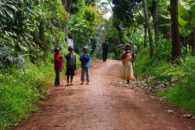 Materuni Waterfall E-Bike Day Trip - Practical Tips and Considerations