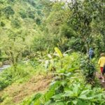 Materuni Waterfall Hike & Coffee Tour - The Sum Up