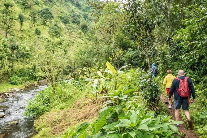 Materuni Waterfall Hike & Coffee Tour - The Sum Up