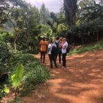 Materuni Waterfalls - Who Will Love This Tour?