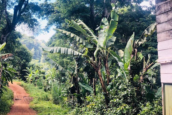 Materuni Waterfalls and Coffee Tour - Dive Into the Experience: What to Expect