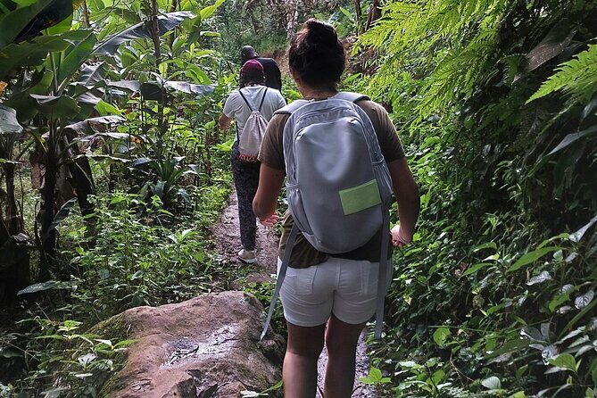 Materuni Waterfalls and Coffee Tour in Moshi - FAQ