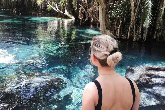Materuni Waterfalls & Chemka Hotsprings Day Trip - Who Will Love This Tour?
