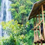 Materuni Waterfalls & Coffee Farm Tour - Whats Unique and Valuable About This Tour?
