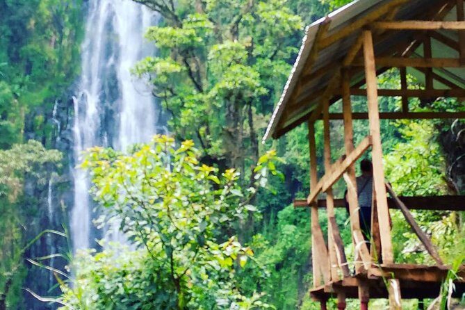 Materuni Waterfalls & Coffee Farm Tour - Whats Unique and Valuable About This Tour?