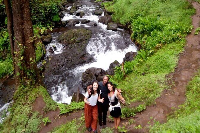 Materuni Waterfalls & Coffee making Cultural Tour | BURIGI CHATO SAFARIS LTD - Authenticity & Review Insights