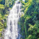 Materuni Waterfalls & Coffee Tour from Moshi - What the Tour Offers: A Full Breakdown