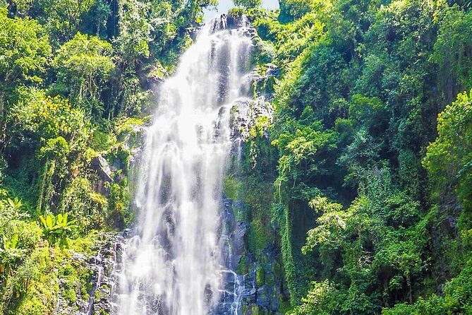 Materuni Waterfalls & Coffee Tour from Moshi - What the Tour Offers: A Full Breakdown