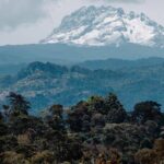 Materuni Waterfalls, coffee tour & Kikuletwa Hot Springs - A Deep Dive into the Tour Experience