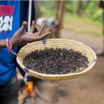 Materuni Waterfalls, Visiting Chagga Village, CoffeeTour Kikuletwa Hotsprings - Practical Considerations & Tips