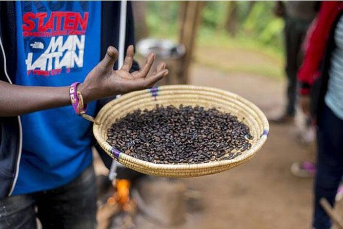 Materuni Waterfalls, Visiting Chagga Village, CoffeeTour Kikuletwa Hotsprings - Practical Considerations & Tips