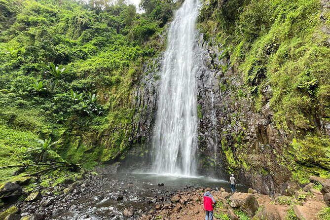 Materuni waterfalls,coffee tour & Kikuletwa(Chemka)Hot Springs - Discovering Materuni Waterfalls