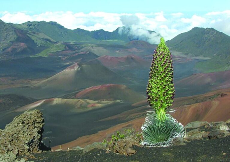 Maui: Sunset & Dinner Tour to Haleakala National Park - Why This Tour Works for Different Travelers