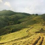 Mauritius: 2 Hours Buggy Ride - Bel Ombre Nature Reserve - The Sum Up