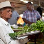 Mauritius Half Day City Tour(All Region) - Is This Tour Worth It?