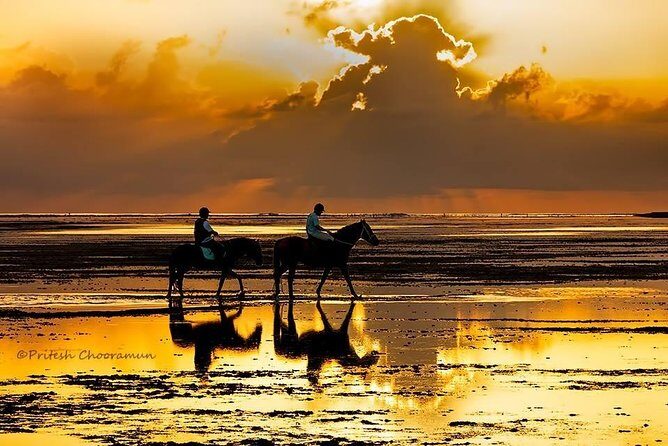 Mauritius Horse Riding at Riambel - Who Will Love This Tour?