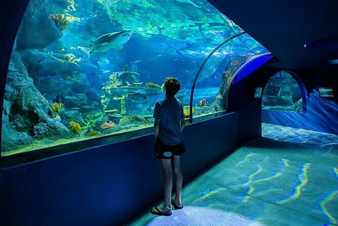 Mauritius Odysseo Oceanarium in Port Louis - The Itinerary Breakdown