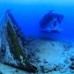 Mauritius Unique Submarine Tour - Value and Price Considerations