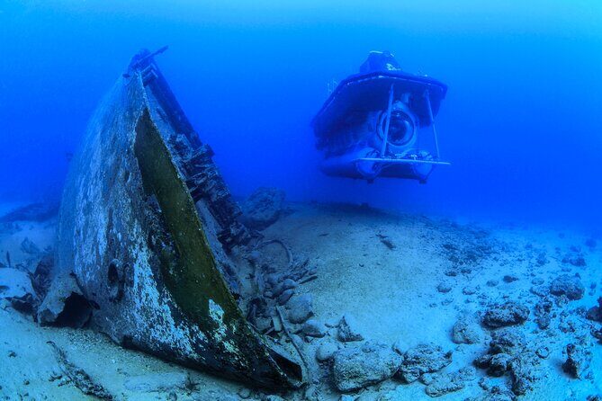 Mauritius Unique Submarine Tour - Value and Price Considerations