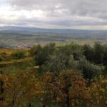 Mazzurega: Winery Tour with Tasting and Food Pairing - The Itinerary and Experience Breakdown