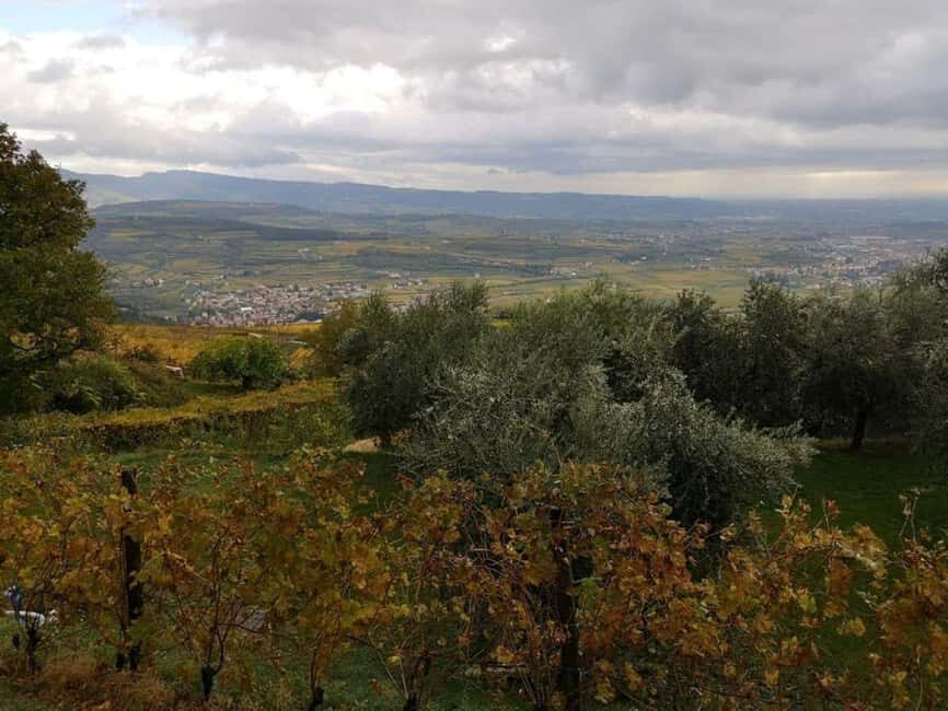 Mazzurega: Winery Tour with Tasting and Food Pairing - The Itinerary and Experience Breakdown